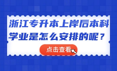 专升本机构