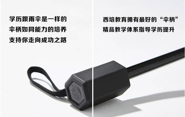 专升本机构